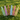 Freevola Mood Club